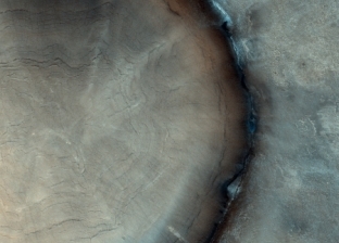 التقاط صورة لـ«جذع شجرة» على سطح المريخ يثير حيرة العلماء