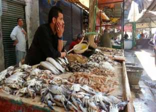 استقرار أسعار الأسماك اليوم السبت 7 أغسطس