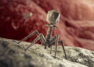 اكتشاف فيروس جديد في أعمق مكان على وجه الأرض.. هل يصيب البشر؟