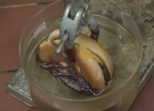 فيديو صادم.. تأثير "ساندوتش هامبورجر بالجبنة" على معدة الإنسان