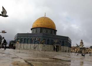 «الإفتاء» تنشر دعاء خاص لأهل غزة: اللهم نستودعك بيت المقدس (فيديو)