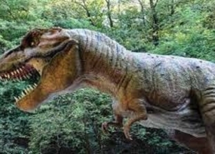 اكتشاف حفريات ديناصورات من العصر الطباشيري جنوبي الصين
