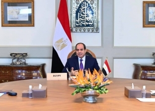 عاجل.. السيسي يكلف أجهزة الدولة بإنهاء أزمة المصريين المحتجزين في ليبيا