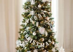 5 طرق تساعدك في الحفاظ على شجرة الكريسماس لمدة طويلة
