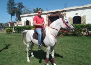 الحصان العربي من أعرق سلالات الخيول في العالم وأغلاها.. اعرف مميزاته
