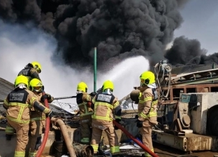 أول صور من موقع حريق منطقة «جبل علي» الصناعية في دبي