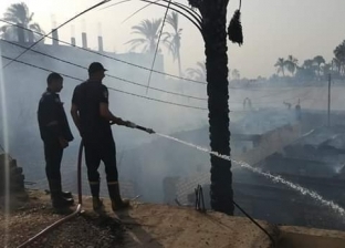 عاجل| إخلاء منتزه في لوس أنجلوس بعد نشوب حريق بالقرب منه