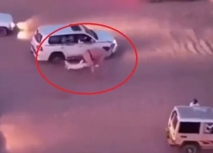 شاب سعودي ينقذ طفلا في اللحظات الأخيرة قبل دهسه بالجمال «فيديو»