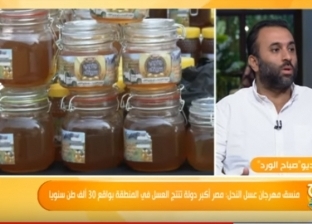 بـ30 ألف طن سنويا.. مصر أكبر دولة في إنتاج عسل النحل بالمنطقة