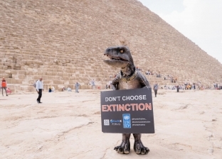 تزامنا مع COP27.. ديناصور يناشد العالم من أمام الأهرامات: «لا تختاروا الانقراض»