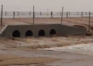 عاجل.. سيول من الأمطار وانهيارات أرضية.. ماذا يحدث في الكويت؟ «فيديو»
