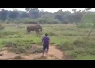 بالفيديو| رجل يحاول تنويم فيلا مغناطيسيا فيسحقه
