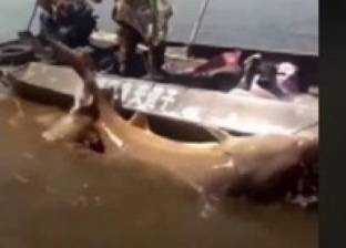 بالفيديو| صياد محظوظ يصطاد سمكة أطول من الإنسان