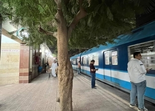 شجرة في محطة مترو عزبة النخل يلجأ لها الركاب.. تحفظ الذكريات وتحمي من الشمس