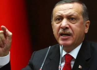 لاجئة تركية في فرنسا: اعتذار أردوغان أو توبته لن تفيد بعد انتهاكاته
