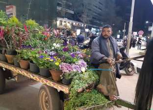 عماد حمدى على عربة كارو: أنا بيبع ورد مش بمثل