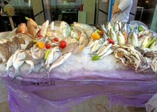 «القرافس» أغلى أنواع الأسماك في الإسكندرية.. سعره يصل لـ1000 جنيه