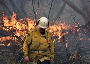 ولاية "نيو ساوث ويلز" الأسترالية تعلن الطوارىء بسبب حرائق الغابات