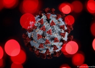 الدنمارك تسجل أول إصابة بسلالة جنوب إفريقيا من فيروس كورونا