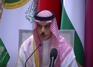 وزير الخارجية السعودي: قمة جدة ناقشت أبرز قضايا ومصالح الدول العربية