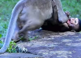 بالفيديو| لحظات مؤلمة يعيشها "القرد الصغير"