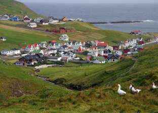 "بلاد الماعز".. جزر فارو الدنماركية الماشية أكثر من سكانها
