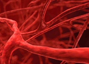 أطباء يوضحون تأثير كورونا على الأوعية الدموية: بروتين سبايك السبب