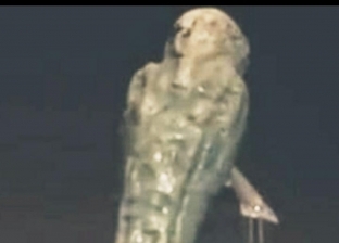 حملة لإعادة تمثال فرعوني ناجٍ من كارثة تيتانك وانتشال مومياوات المحيط