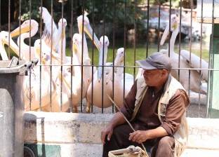 نواب يطالبون الحكومة بإعلان خطتها لعودة حديقة الحيوان للتصنيف الدولي