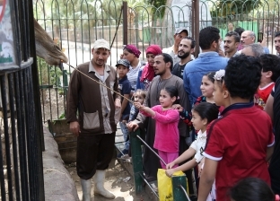 مدير حديقة حيوان الإسكندرية: الإقبال أقل من العام الماضي
