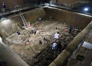 العثور على مقبرة ملكية ليست للبشر.. عمرها 2400 سنة