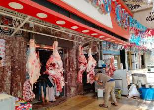 اشتعال أسعار اللحوم المجمدة بسبب تراجع الاستيراد