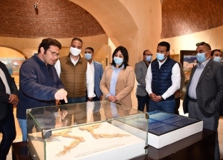 محافظ الفيوم ونائب وزير السياحة يتفقدان متحف الحفريات وتغير المناخ