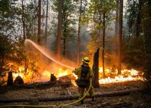 تمديد حالة الطوارئ في غرب كندا للمرة الرابعة بسبب حرائق الغابات