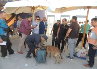 كلاب بوليسية لفحص الحقائب باحتفالات "العذراء" في المنيا