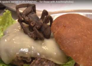 بالفيديو| مطعم أمريكي يقدم لزبائنه وجبة برجر بالعنكبوت