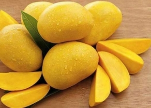 8 فوائد صحية لفاكهة المانجو.. اعرف الكمية المسموح بتناولها يوميا