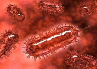 "البكتيريا الخارقة" تدق ناقوس الخطر في أوروبا