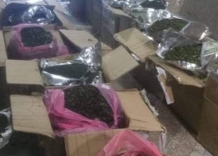جمارك قرية بضائع مطار القاهرة تحبط تهريب كمية من المخدرات