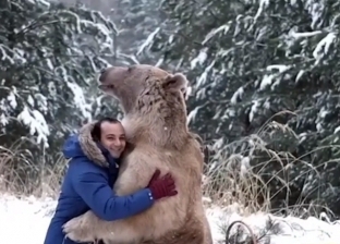 صداقة خاصة بين شاب مصري وأشهر دبة في روسيا: «الصورة مش فوتوشوب»