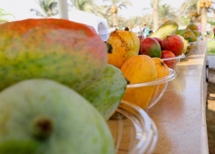 باحثة بقسم الفاكهة الاستوائية: الوقت مناسب لتخزين المانجو.. و«الزبدية» الأفضل