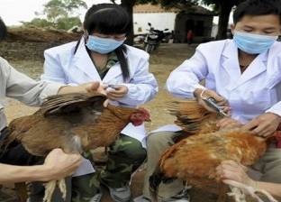 كل ما تريد معرفته عن السلالة الجديدة لإنفلونزا الطيور h10n3