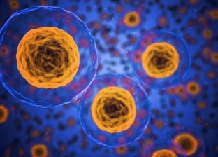 دراسة: الخلايا البشرية تدافع عن نفسها عن طريق التماسك