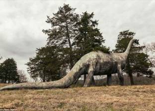 اكتشاف بقايا "إنجنتيا".. أقدم ديناصور عملاق على مر العصور