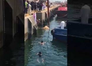 بالفيديو| جمل يقفز في مياه الخليج العربي قبل إنقاذه بـ"حبل"