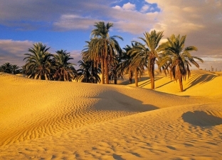 تفسير حلم المشي في الصحراء.. بشرى لراحة البال والمنفعة