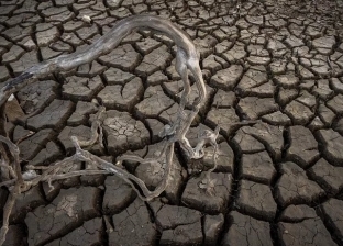 الجفاف يحول أشهر بحيرة في إسبانيا إلى أرض بيضاء متصدعة (صور)