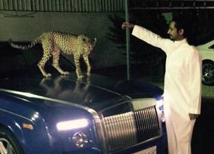 بالصور| حياة أثرياء السعودية على "إنستجرام".. حيوانات وأسلحة ورفاهية