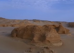 مصر من السما.. "حفريات على أرض مصر" 40 مليون سنة حياة