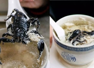طبق مخيف يستخدم في الصين لعلاج الروماتيزم والتسمم: شوربة ثعابين وعقارب
